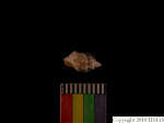 L_V22d5648 A15q1220.11.3 Tx06 dM sh f523 